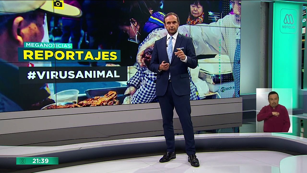 Virus animal- Las graves consecuencias de la zoonosis