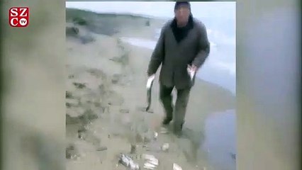 Kıyıya vuran balıklar için isyan etti! Bu katliamı durdurun