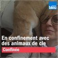 Jour 14, la vie confinée avec des animaux de compagnie