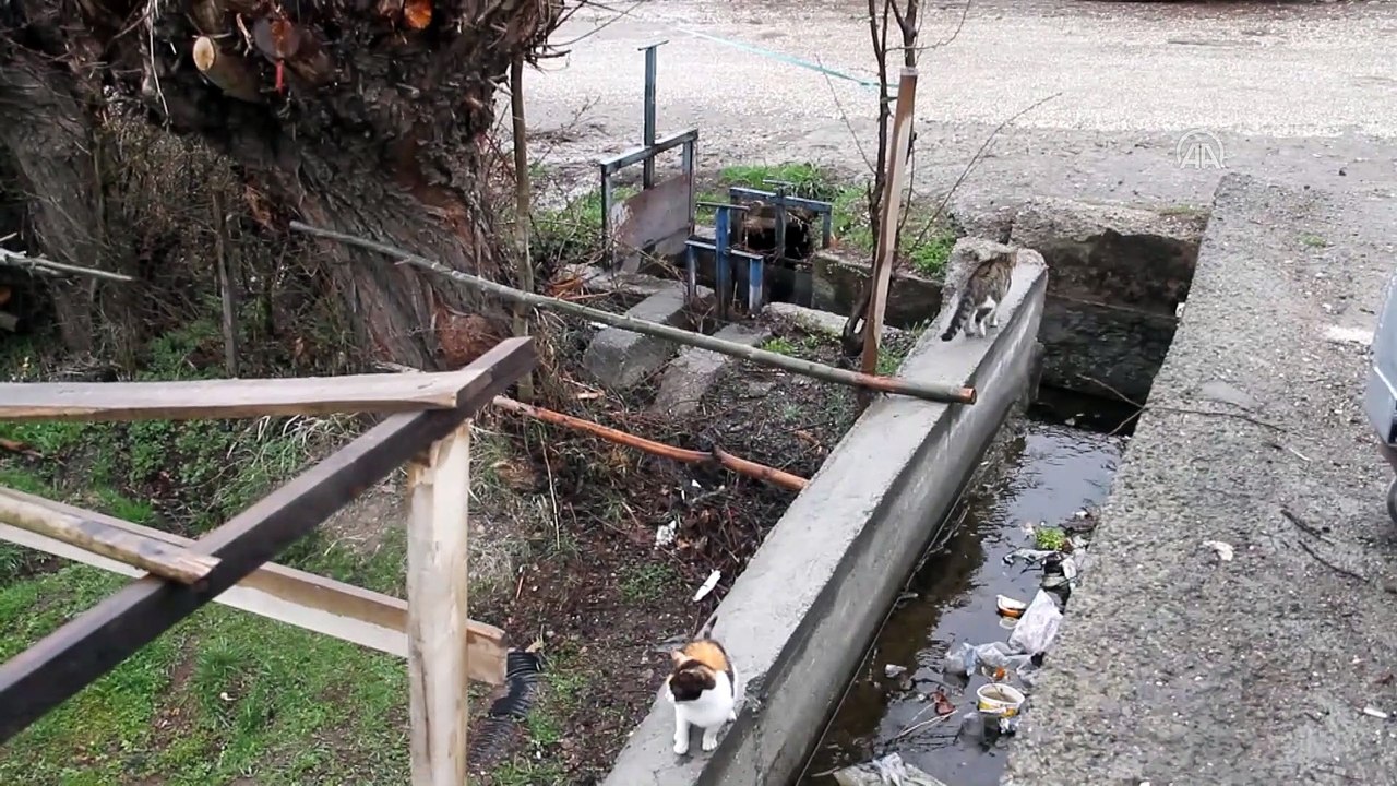 Suşehri'nde 2 köy, Kovid-19 tedbirleri kapsamında karantinaya alındı - SİVAS