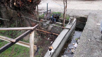 Suşehri'nde 2 köy, Kovid-19 tedbirleri kapsamında karantinaya alındı - SİVAS