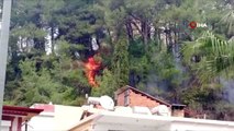 Antalya'da korkutan orman yangını büyümeden söndürüldü