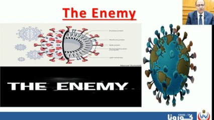 الصحة تدرب 10 آلاف طبيب على بروتوكولات لعلاج كورونا