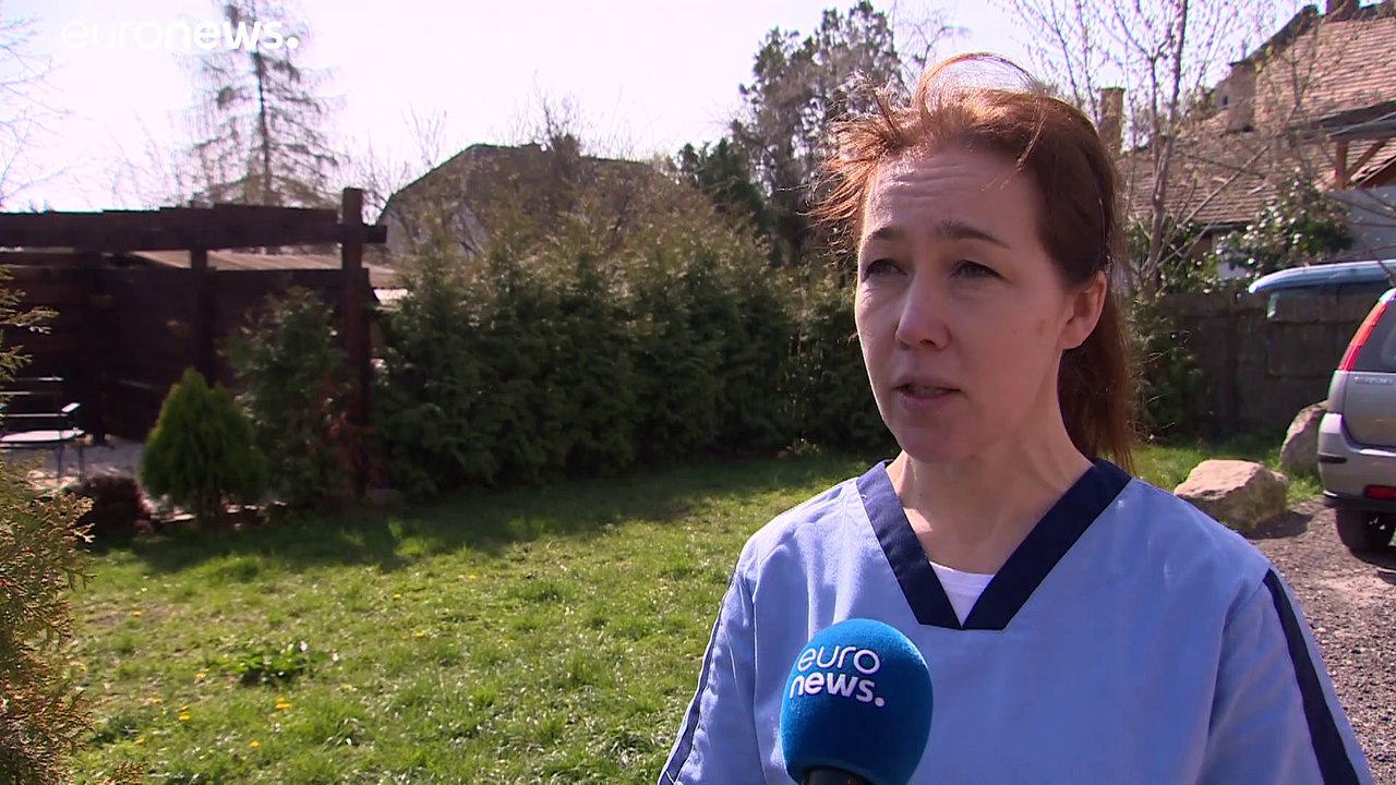 Os animais de estimação e a pandemia