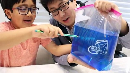 Easy DIY Science Experiments Leak Proof Bag with Pencil!!