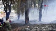 ANTALYA Manavgat kent merkezinde orman yangını
