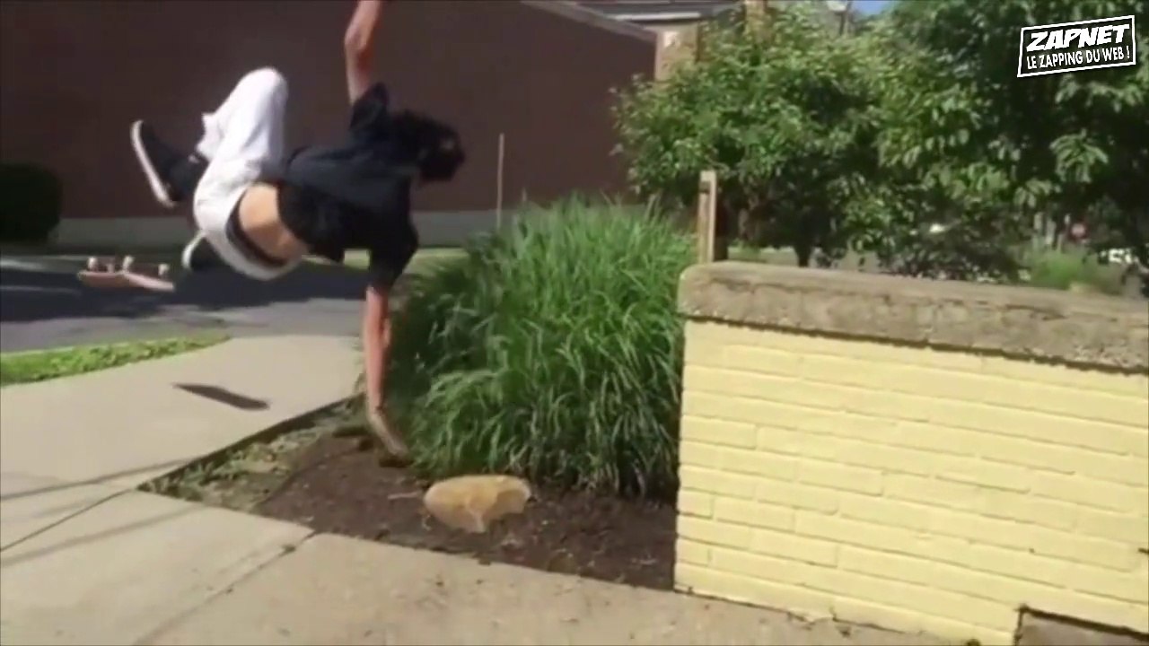 ZAPNET - LE ZAPPING DU WEB (N°7)