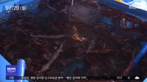 [뉴스터치] 동해시 오징어 팔아주기 운동 시작