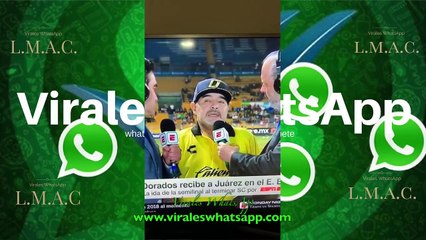 videos virales 2020 facebook los mejores