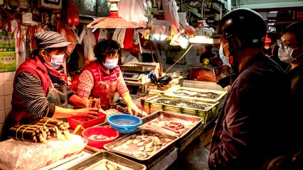 கொரோனா குறைந்தது.. இறைச்சி சந்தையில் வவ்வால், பாம்பு, தேள், பூனை விற்பனை அமோகம்! - வீடியோ