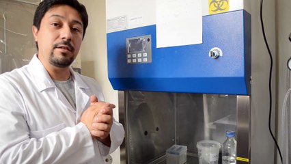 04 Sala de cultivo - Curso Microbiología y Parasitología de los Alimentos - NYGA USS