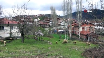 Karantinaya alınan Yeşildere köyü sessizliğe büründü