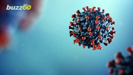 Tips for Landing a Job During the Coronavirus Era