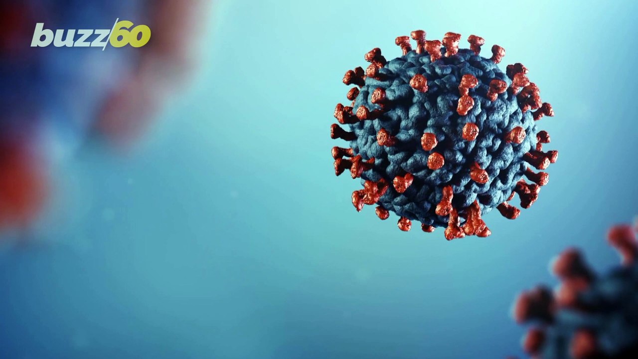Tips for Landing a Job During the Coronavirus Era