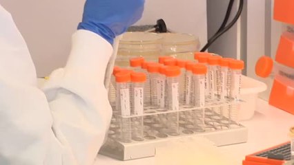 El Hospital San Carlos de Madrid participa en el programa de investigación de la OMS en la lucha contra el coronavirus