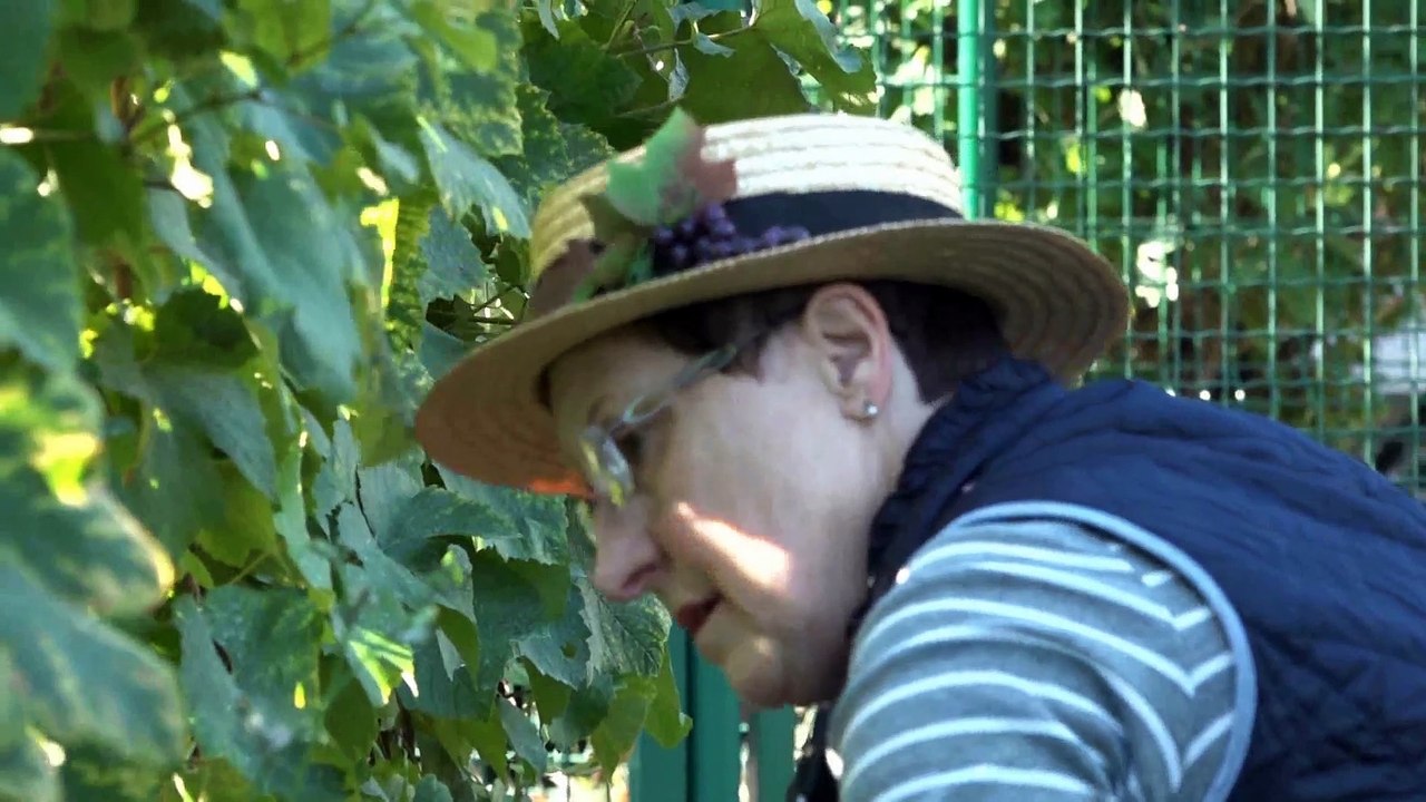 Contreformes4 -  vignerons seconde partie