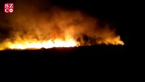 Göksu Deltası Kuş Cenneti'nde son 5 yılda 27’nci yangın