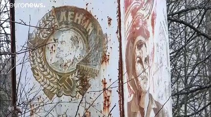 La vie reprend peu à peu ses droits dans la zone d'exclusion de Tchernobyl