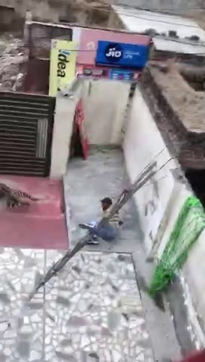 Tiger attack