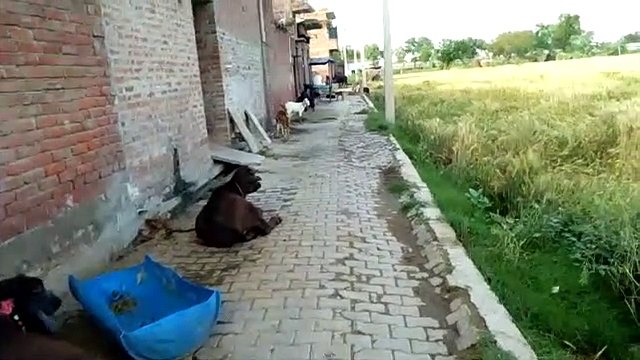 इटावा: लॉक डाउन लागू होने के बाद गांव में पसरा सन्नाटा
