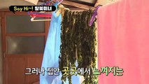 [세이하이 탈북미녀] 북한에서 날아온 국민일꾼 량진희♥ 연탄 나르기는 기본! 할머니 집 수리는 덤으로~♪