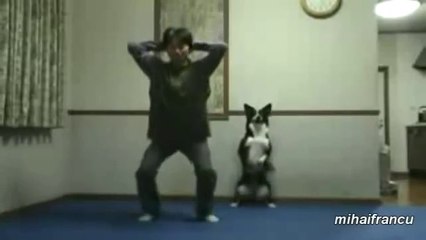 Animals Workout  Funny Animals