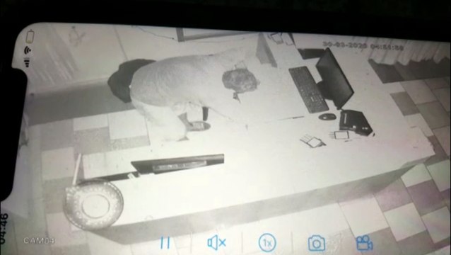 Homem que furtou doces e picolés em restaurante é flagrado por câmeras de segurança