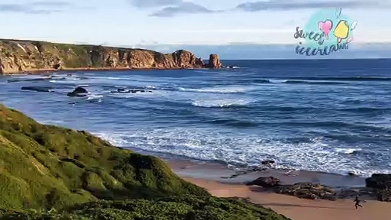 Korean  Funny Status Video  latest whatsap status in 2020