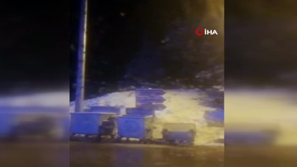 İnsanlar evlere çekildi, ayılar yerleşim yerlerine indi