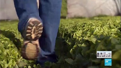 Covid-19 : En France, les agriculteurs ne savent plus vers qui se tourner