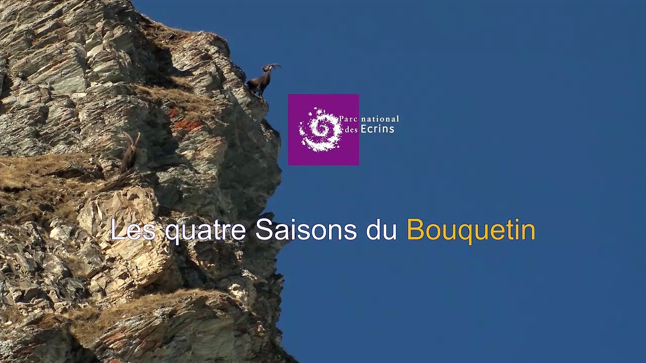 Secrets de nature : les 4 saisons du bouquetin