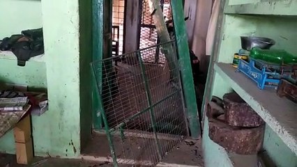 प्रयागराज: उल्टा चोर कोतवाल को डाटे