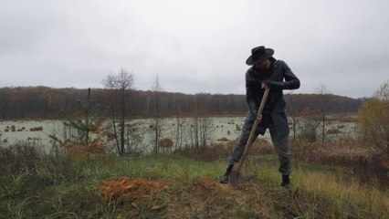 Swan - Stock Footage b-roll