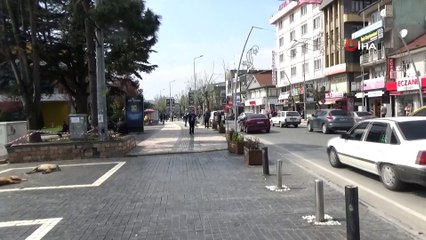 Faruk Özlü evde kaldı “Bu süreçte sokağa çıkmayalım, evde kalalım”