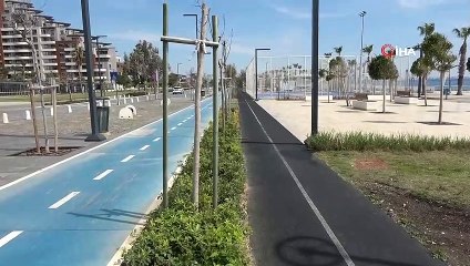 - Dünyaca ünlü sahil onlara kaldı, anne ve yavru köpekler gülümsetti