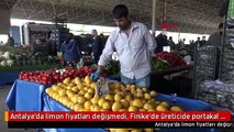 Antalya'da limon fiyatları değişmedi, Finike'de üreticide portakal tükendi