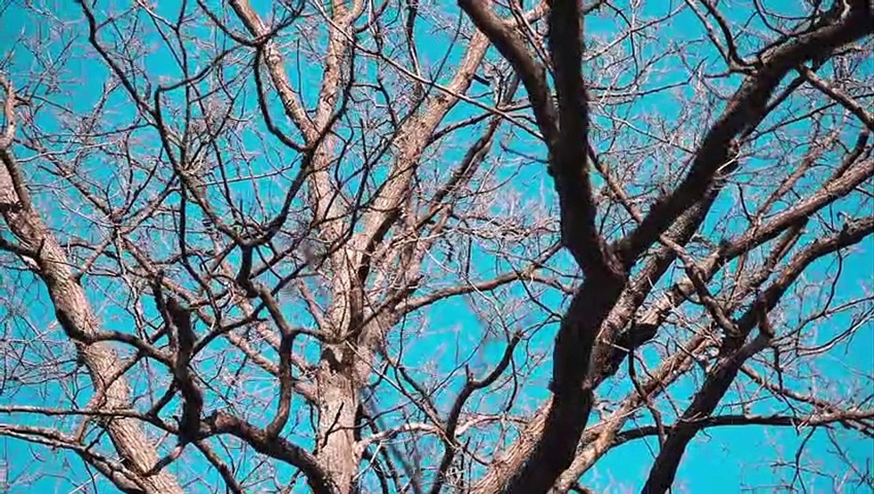 Bekim  Zymeri - Veq për ty