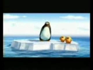 Pinguins marrants