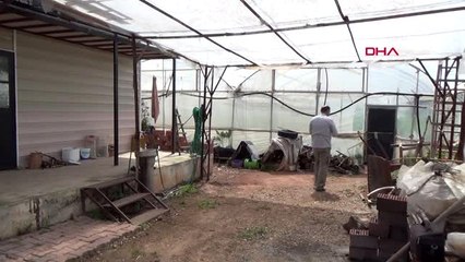 Antalya'da örtü altı üretim aralıksız sürüyor