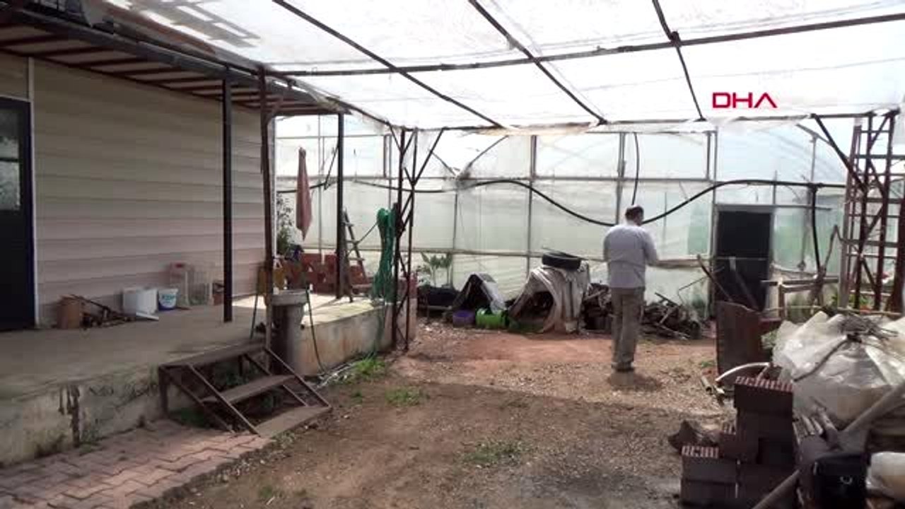 Antalya'da örtü altı üretim aralıksız sürüyor