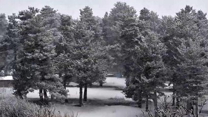 Sarıkamış'ta kar yağışı