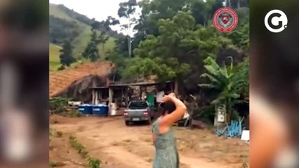 Bombeiros salvam cadelinha presa há 5 dias dias em montanha no interior de Ibiraçu