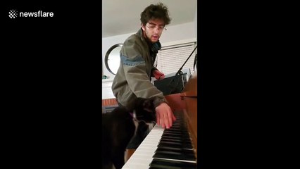 Watch as this LA man teaches his cat to play the piano in a sweet duet