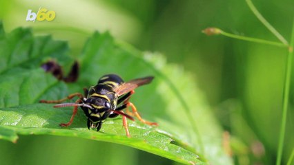 The Worst Things About Summer to Remember If We Are Still in Quarantine