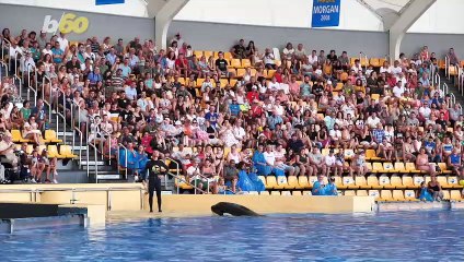 What Ever Happened to the Subjects of Netflix’s ‘Tiger King’ Documentary?