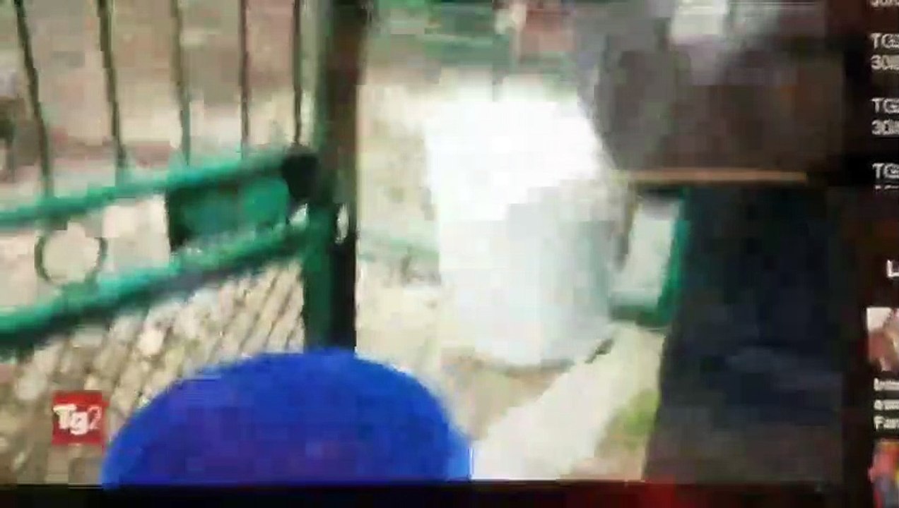 Coronavirus, in Puglia allevatori gettano il latte ma i prodotti esteri continuano ad arrivare