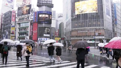 Χιόνια στο...Τόκιο!