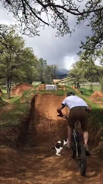 Cat Cuts BMX Biker Off Causing Crash