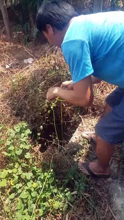 Saving a Puppy from a Deep Pit