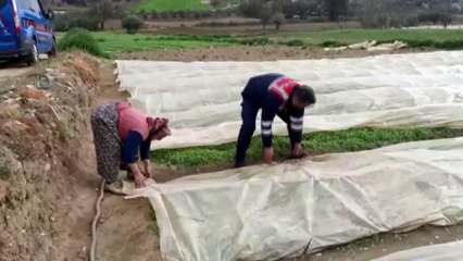 Jandarma, uyarmak için gittiği yaşlı kadına yardım etti